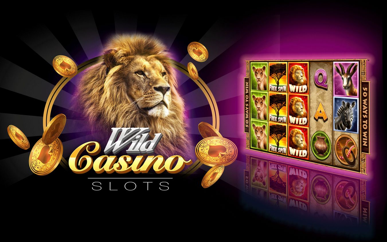 Complete Evaluation of Wild Gambling Enterprise